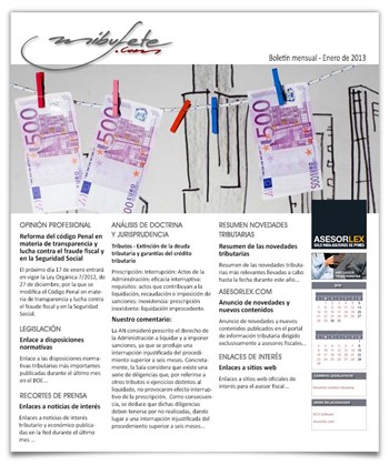 Boletín mensual enero 2013