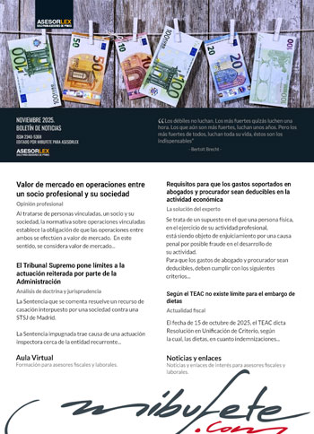 Boletn Noviembre 2025