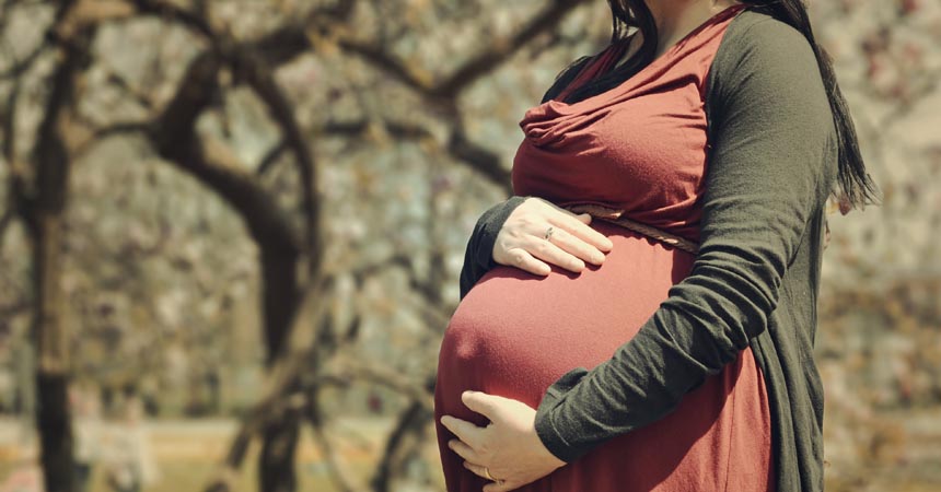 Un Tribunal admite la exención de la prestación por maternidad y acuerda su devolución